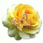 1198493485_labyrinth.com.ua.1281