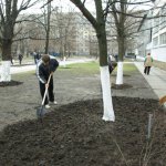 phoca_thumb_l_imgp8489