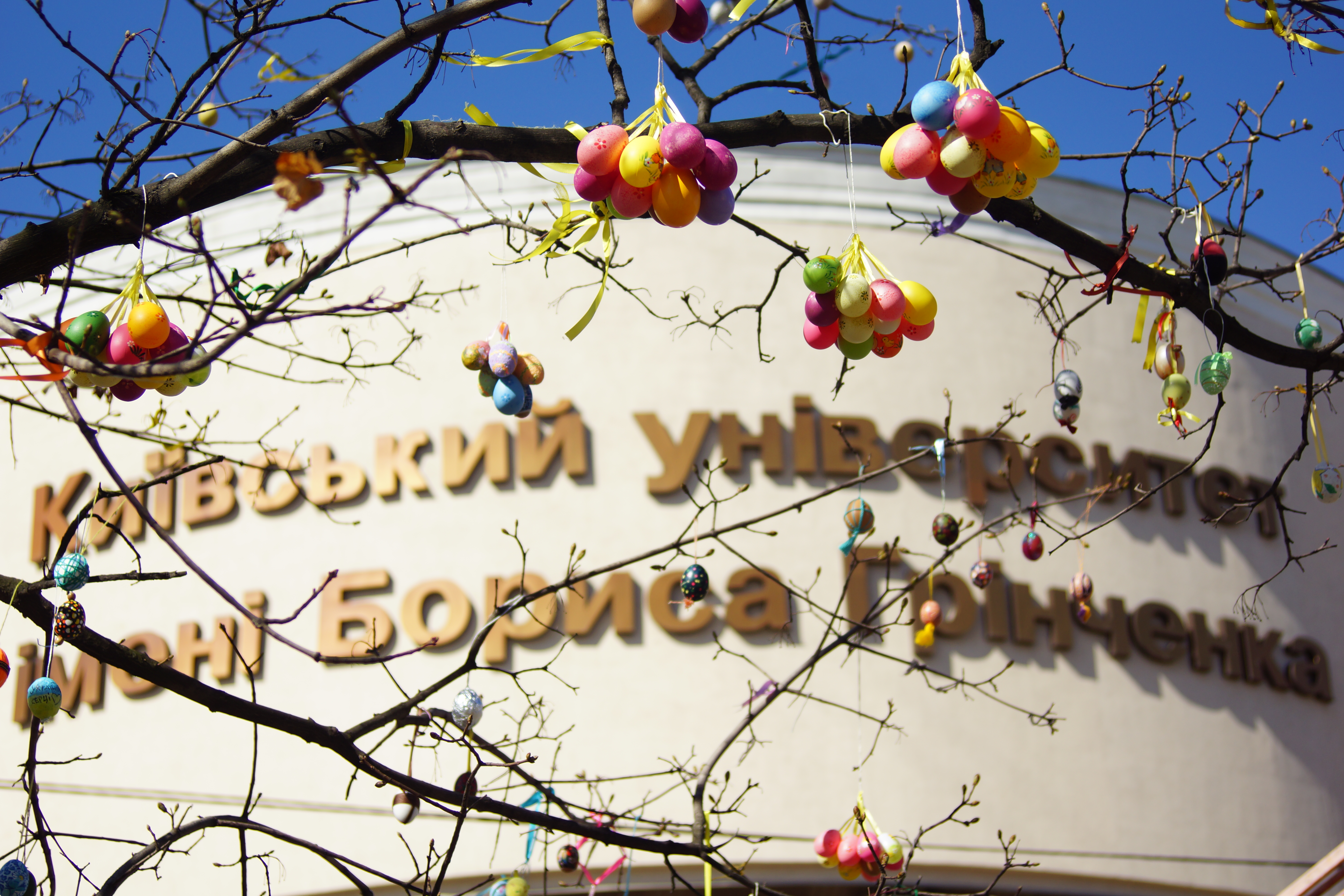 preview 11 03 str rozv osv