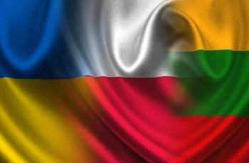 mizhnarodni partnery7