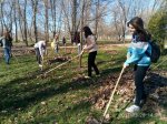 «Весняний благоустрій-2017»