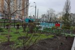 Відновлення благоустрою та озеленення територій Університету Грінченка