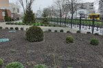 Відновлення благоустрою та озеленення територій Університету Грінченка