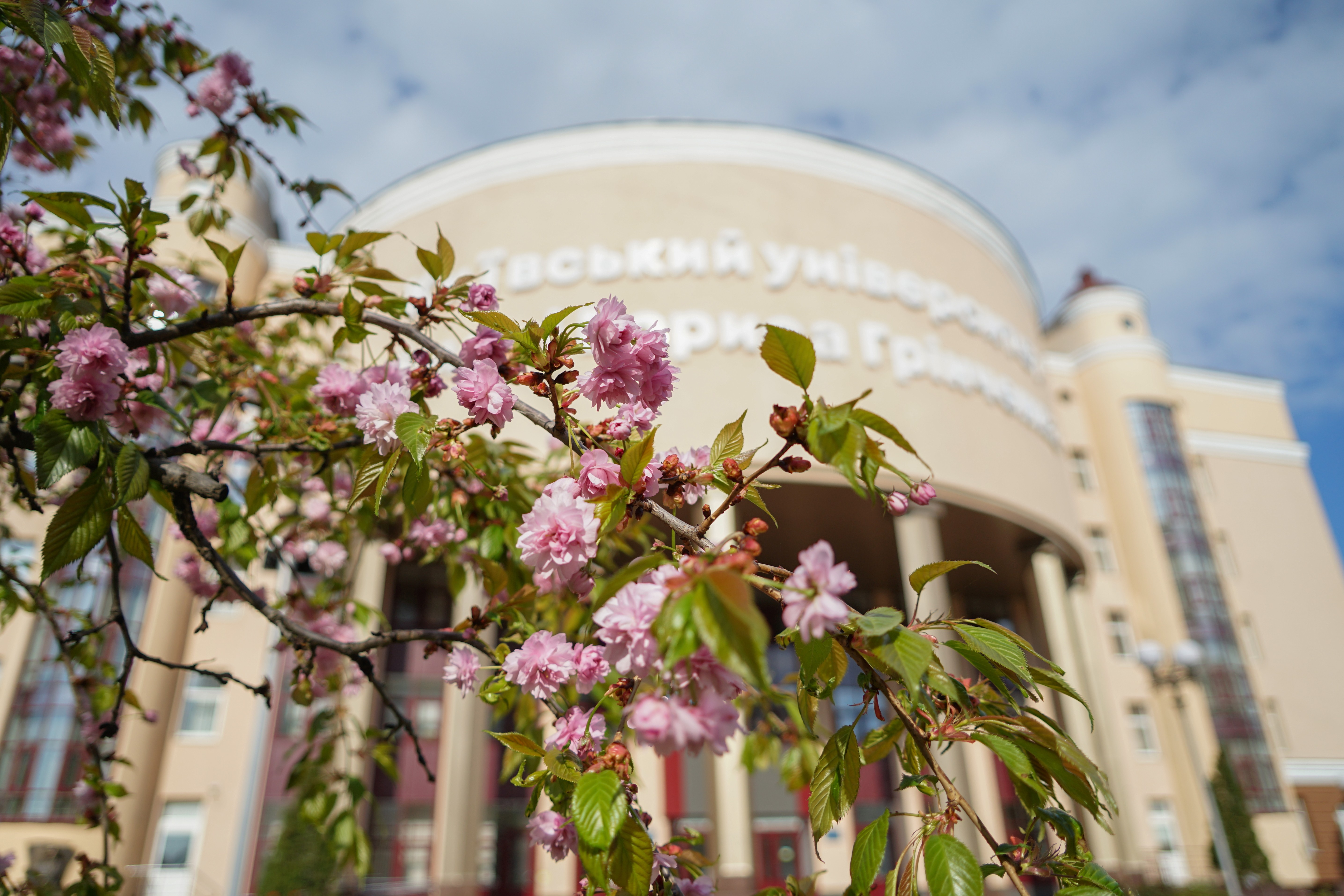 Весняний місячник з благоустрою Весняний місячник з благоустрою;