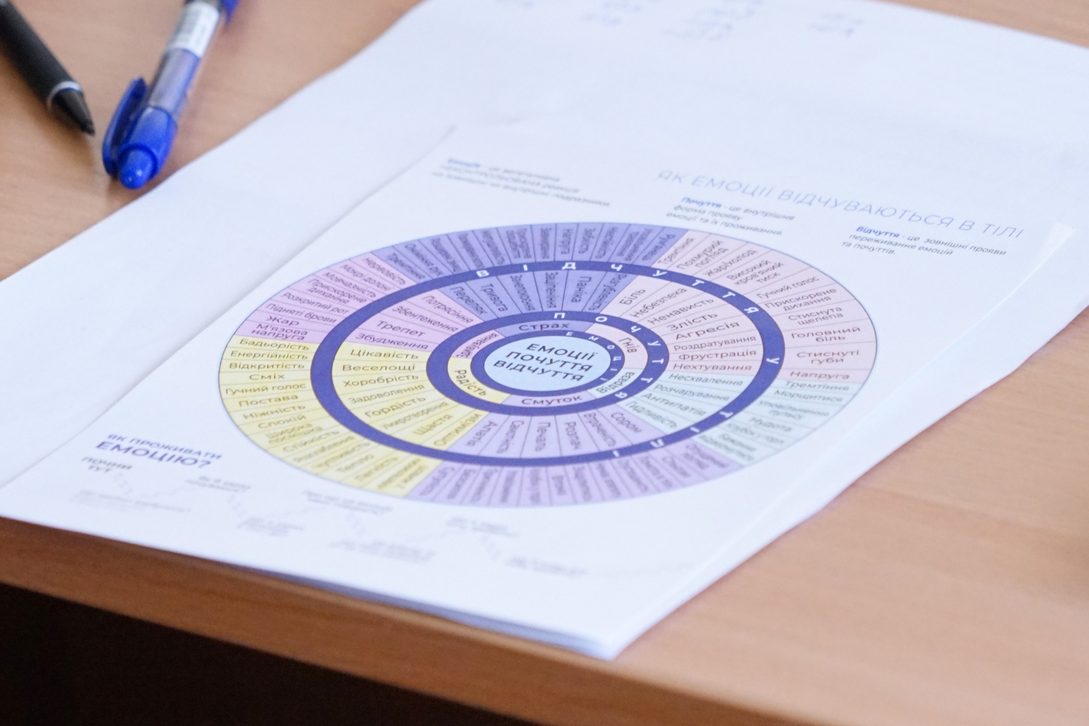 Тренінг «Емоційний інтелект та стратегії управління власними емоціями в професійній діяльності викладача»