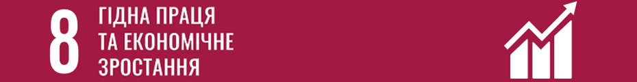 SDG8